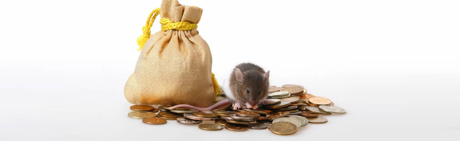Pest Savings